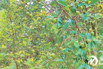 �G����Դ|�Ͻ�h���������Ͳ�a�I�¸ߵ� ���t+�G���x�ܾG���Ͻ����B���O