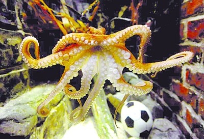 �����~�硱�����Ї�ˮ���^������������ӭ��