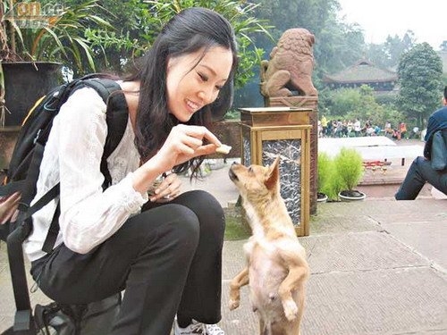 �~����Ĵ�����ɽ· ���呟��w򞺆������(�D)